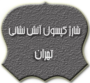 شارژ کپسول آتش نشانی